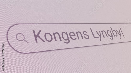 Search Bar Kongens Lyngby 
Close Up Single Line Typing Text Box Layout Web Database Browser Engine Concept photo