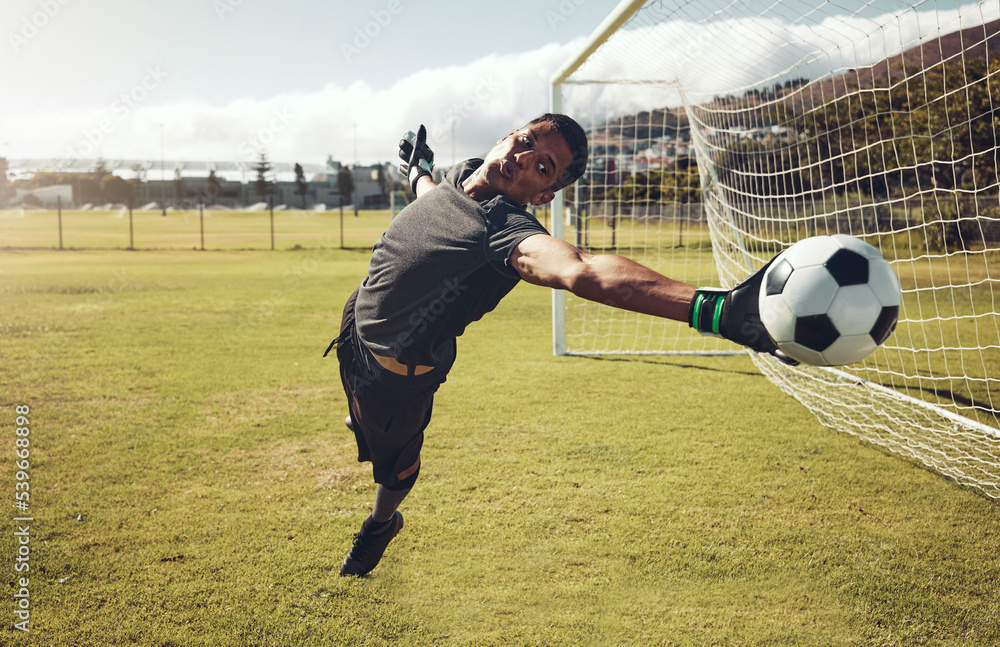 Professional top soccer goalies