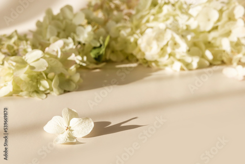 Flowers composition with hydrangea flowers on beige pastel background. Invitation card mock up. Template blank for branding and advertising. Top view, flat lay, copy space.