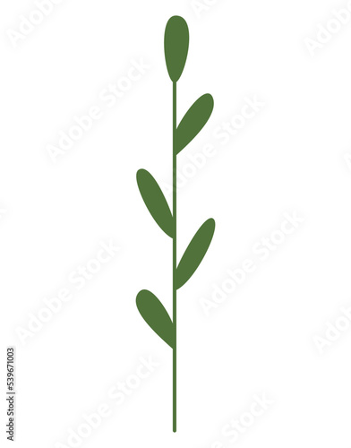 A simple green branch with small leaves. Straight stem, flat doodle style. Silhouette of a plant, handy for creating a vector brush. Green twig logo, design element. Transparent background