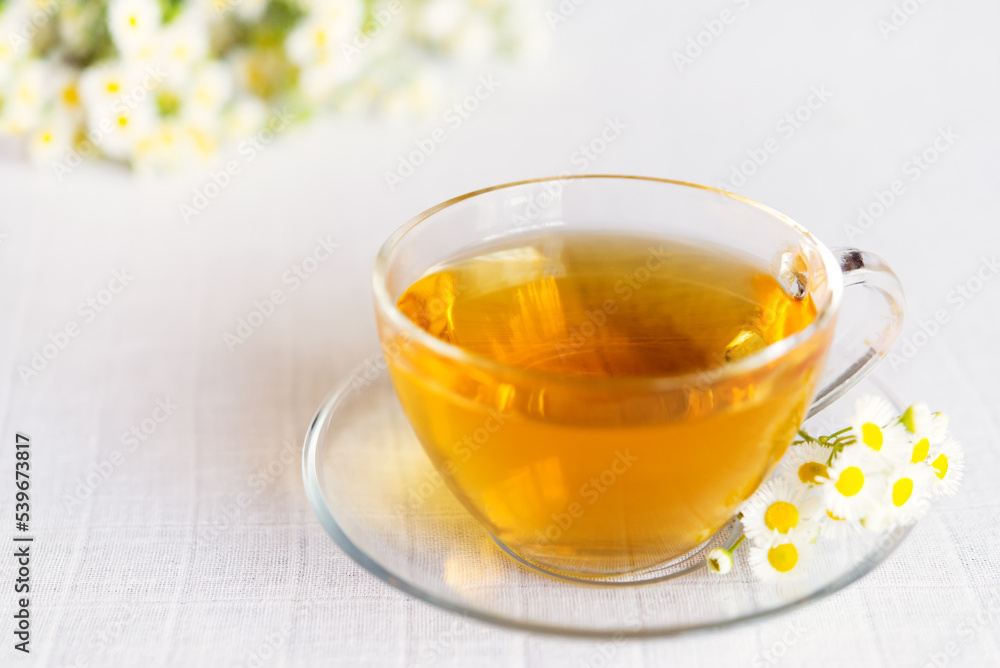 cup of herbal tea with chamomile flowers cup of herbal tea with chamomile flowers