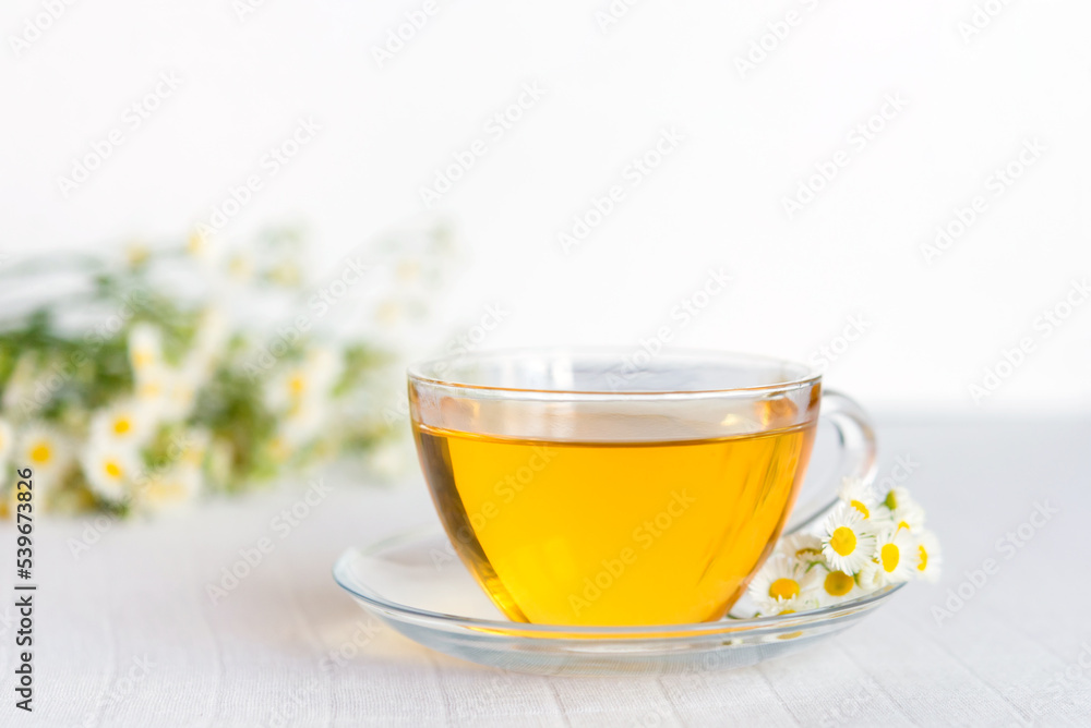 cup of herbal tea with chamomile flowers cup of herbal tea with chamomile flowers