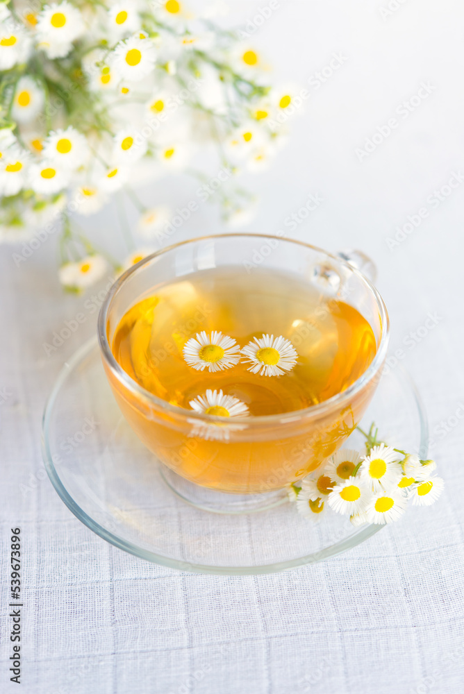 cup of herbal tea with chamomile flowers cup of herbal tea with chamomile flowers