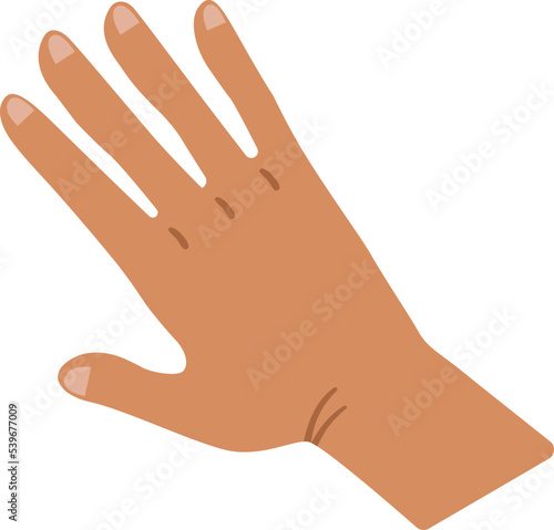 Male Palm with splayed fingers