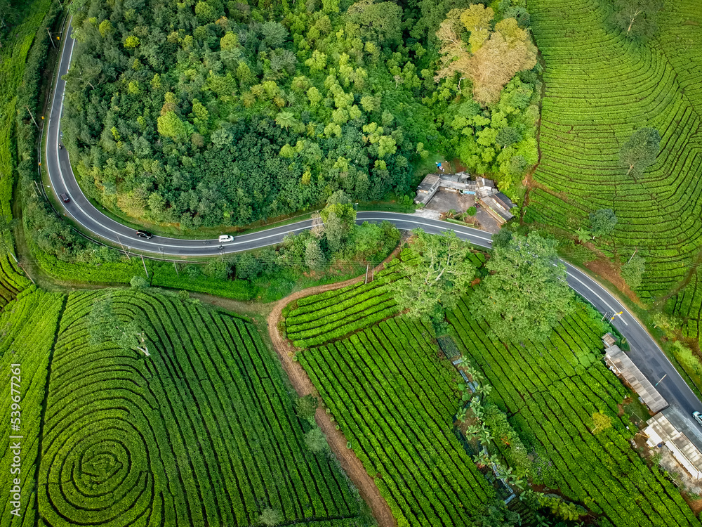 Aerial view of asphalt road, top view panorama shot from drone. The highway road among tea plantations in the mountains. Trip by car, gloomy weather, wet asphalt, green fields. Aerial view of highway 