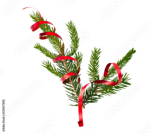 Branch of forest christmas tree with red ribbon