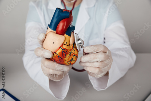 Healthcare concept. Male doctor holding red heart model and stethoscope in hands