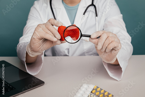 Doctor showing a model of thyroid gland using magnifying glass. Early diagnosis and treatment of thyroid concept photo