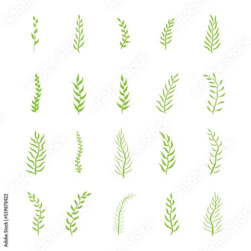 Green leafy plant with decorative art isolated vector illustration.