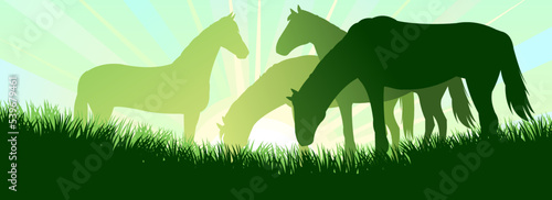 Horses are grazing. Picture silhouette. Farm pets. Animals domestic traditional.On background sunrise. Vector Goat with kid near the herd