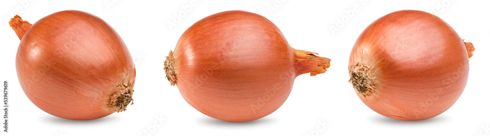 onion isolated on white background. full depth of field. clipping path