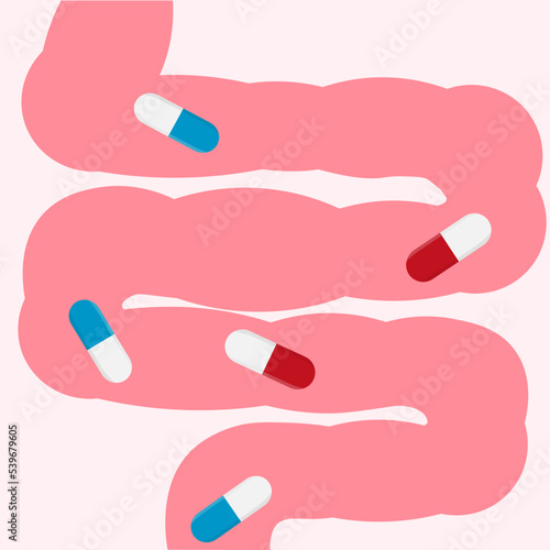 Cute cartoon intestine and medicament pills. Abdominal cavity digestive and excretion human internal organ with probiotic or antibiotic capsule. Vector drug illustration
