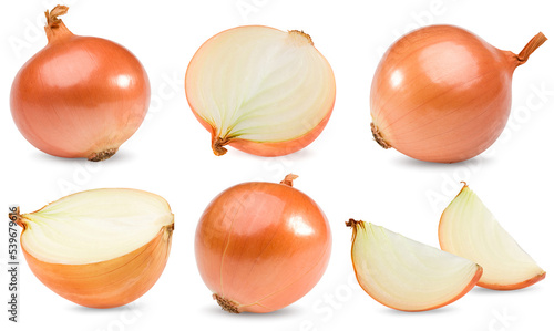 sliced onion isolated on white background. full depth of field. clipping path