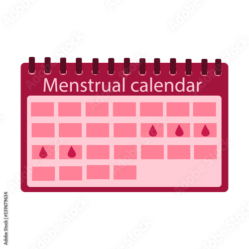 Menstrual calendar for menstruation control and pregnancy planning. Period schedule with marked days for woman and girl. Women cycle and PMS tracker. Flat vector illustration isolated on white