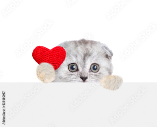 Cute kitten shows tiny red heart above empty white banner. Isolated on white background