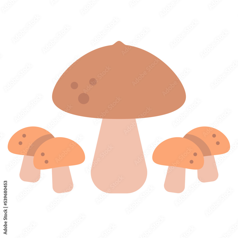 mushrooms mushrooms