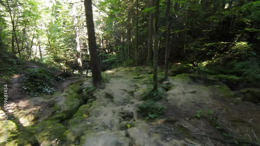 aerial drone shot flying in an enchanted forest with a wild gorge with a creek running down a waterfall, green stones with moss, camera slowly flying forwards very low, water rushing down with sound aerial drone shot flying in an enchanted forest with a wild gorge with a creek running down a waterfall, green stones with moss, camera slowly flying forwards very low, water rushing down with sound