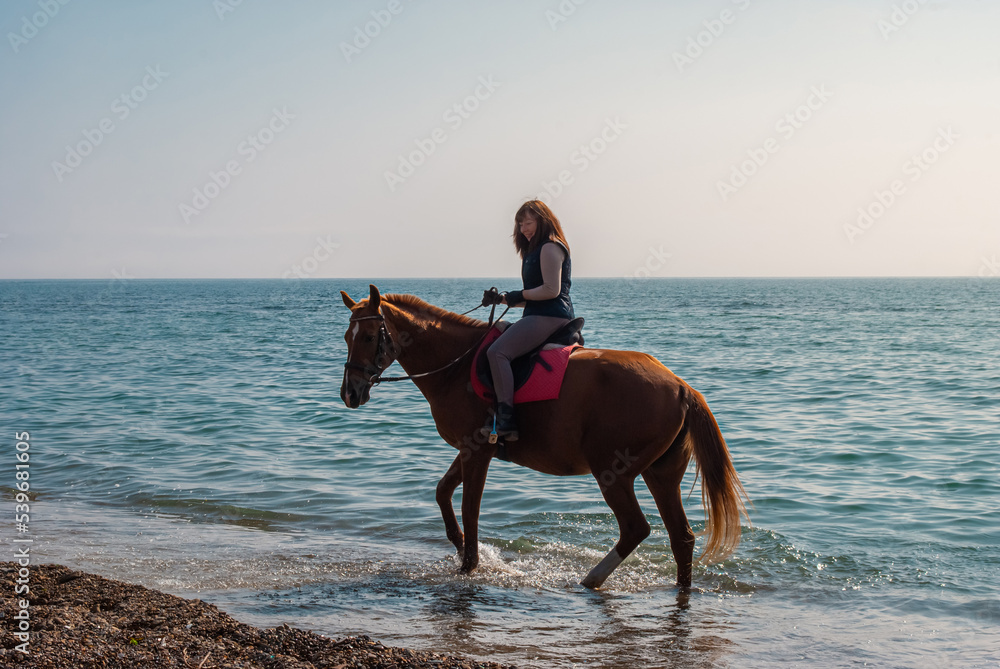 Selective focus. Girl and horse. Horse riding by the sea. Selective focus. Girl and horse. Horse riding by the sea.