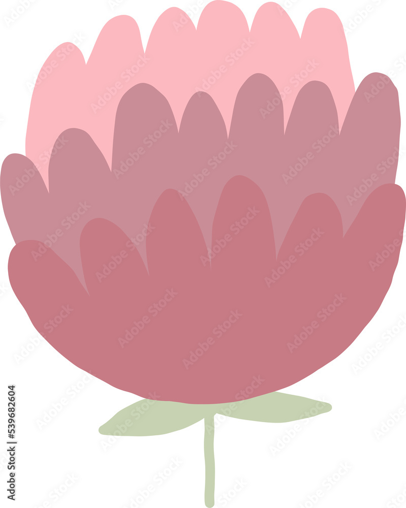 Beautiful png floral illustration with drawn flower. Stock clip art. Wedding rose