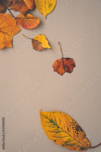 Herbst HIntergrund mit orangen Blätter auf einem beigen Tisch. Draufsicht. photo