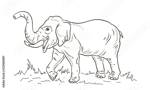 Animals. Black and white image of a large elephant, coloring book for children. Vector image.