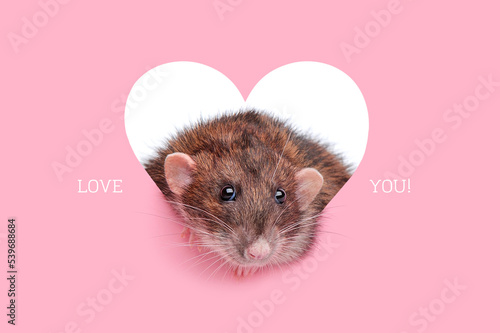 Card with rat in heart and loveyou inscription photo