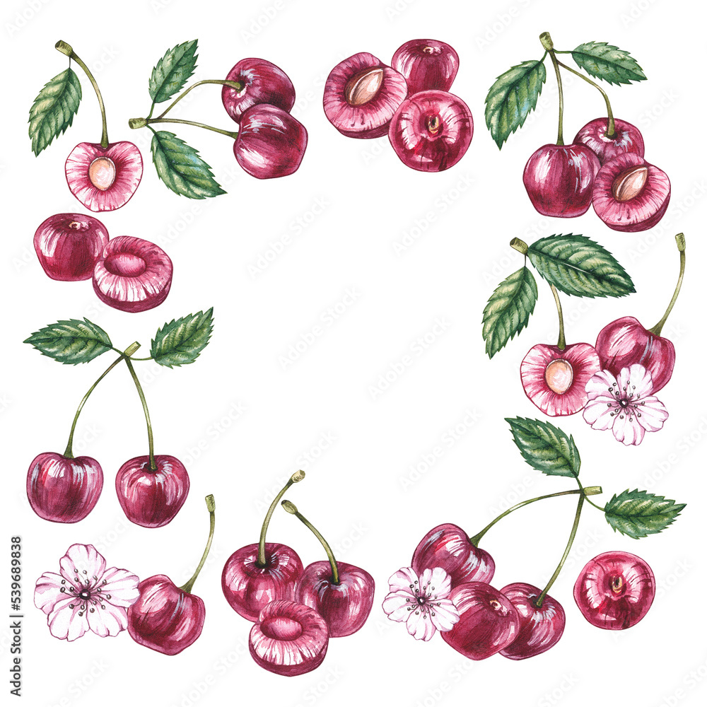 Watercolor cherry frame on a white background Watercolor cherry frame on a white background