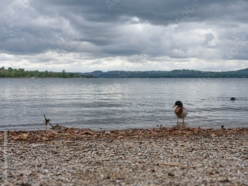 Lake Varese, Gavirate. Italy