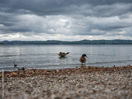 Lake Varese, Gavirate. Italy