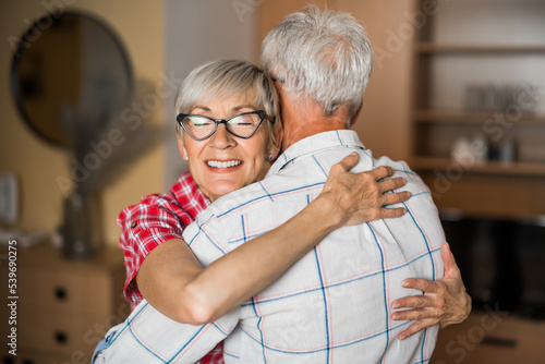 Portrait of happy senior couple at home. Seniors embracing.