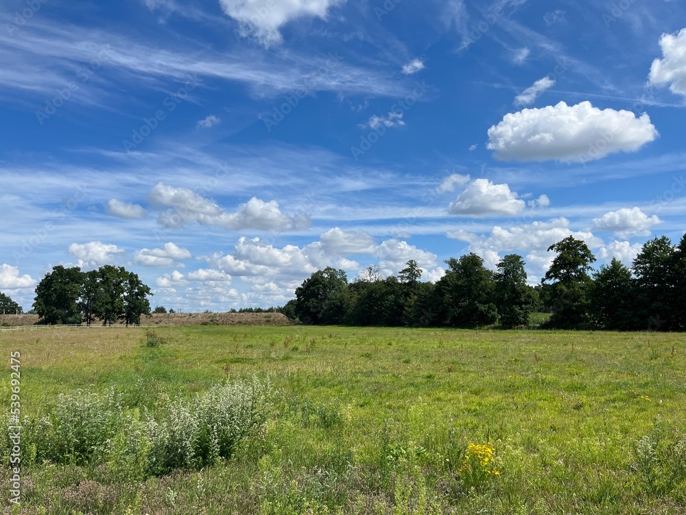 green field and blue sky with white clouds, idyllic rural landscape