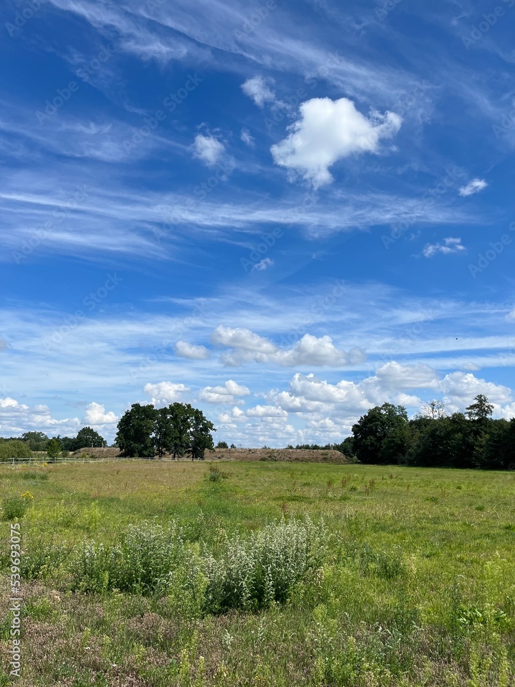 green field and blue sky with white clouds, idyllic rural landscape