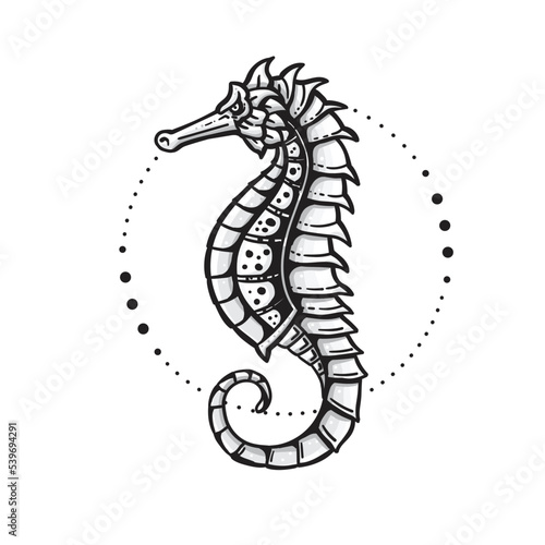 Seahorse hand drawn in a line art style vector
