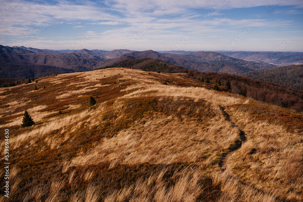 Fototapeta premium Jesień w Bieszczadach