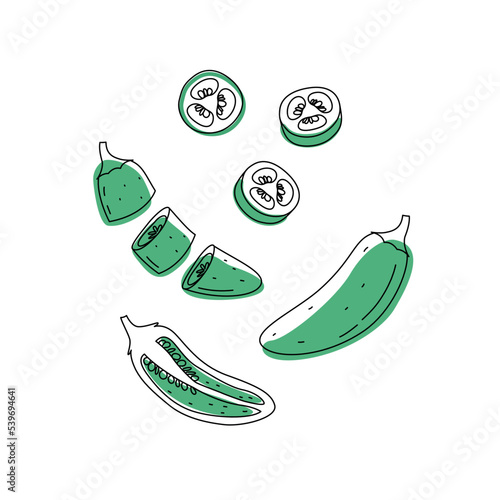 Doodle outline set whole and slice jalapeno chili pepper with spot. Vector hand-drawn illustration for packing isolated on transparent background