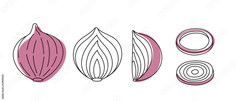 Set of doodle outline onion with spots. Whole and pieces. Set of doodle outline onion with spots. Whole and pieces.