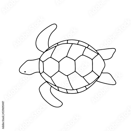 Vector swimming turtle isolated on white background. Hand drawn outline doodle illustration ocean or underwater animal