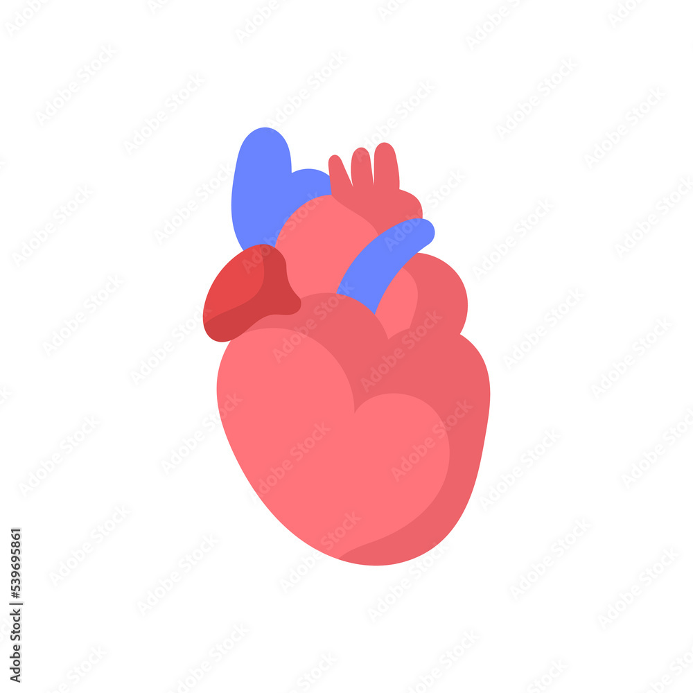 Art Illustration Design Concept Anatomy Body Human Symbol Icon Logo Realistic Of Heart Cardio Art Illustration Design Concept Anatomy Body Human Symbol Icon Logo Realistic Of Heart Cardio