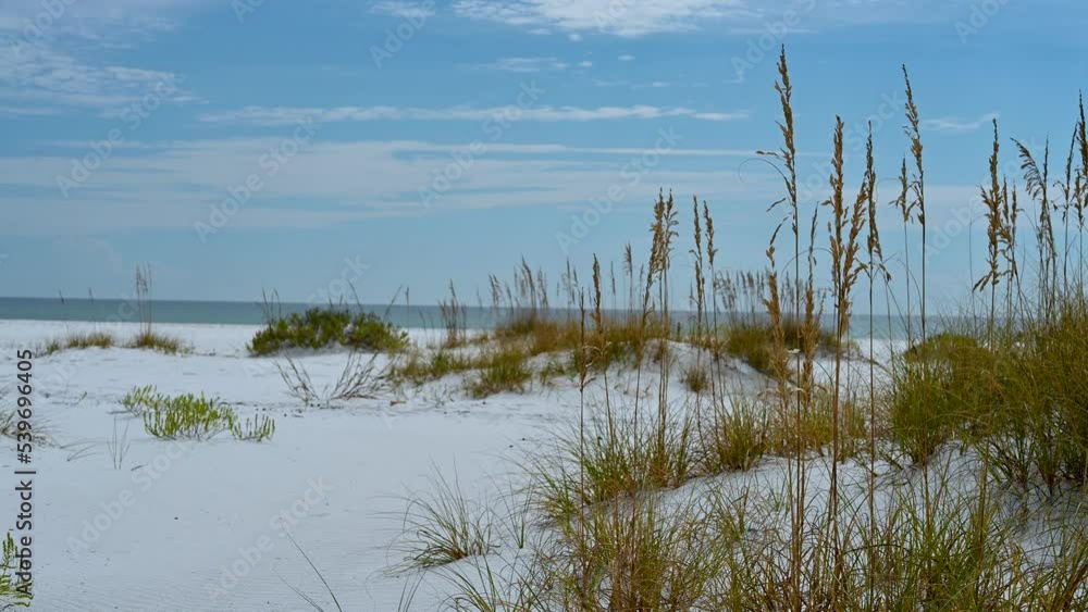 dunes with sea oats at the national seashore since Clear drive sky, white sand, clear emerald water Pensacola to Navarre beach dunes with sea oats at the national seashore since Clear drive sky, white sand, clear emerald water Pensacola to Navarre beach