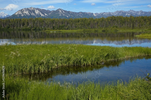 View of Byers Lake in Denali National Park and Preserve,Alaska,United States,North America 