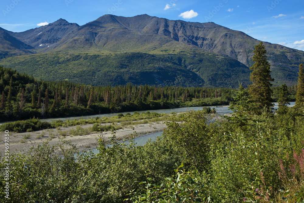 Landscape at Chulitna River in Denali National Park and Preserve,Alaska,United States,North America
Landscape at Chulitna River in Denali National Park and Preserve,Alaska,United States,North America