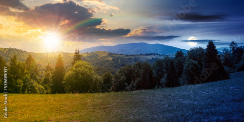 coniferous forest on the hill at daybreak. day and night time change concept. green summer nature scenery in carpathian mountains with sun and moon. sunny weather with clouds above the distant ridge