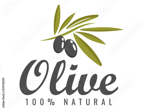 olive 100% natural labels. Olive tree, branches and drop. Black olives. Green olives. 