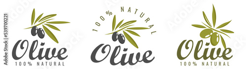 Vector set of olive oil labels. Olive tree, branches and drop. Black olives. Green olives. 