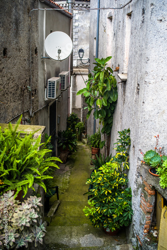 narrow streets full of greenery and neglected buildings of Orsomarso
 photo
