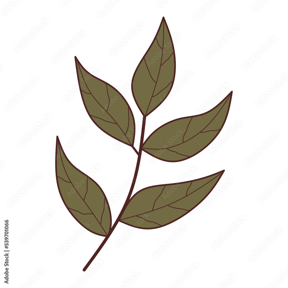 leaves vector element leaves vector element