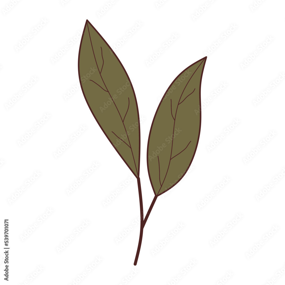 Obraz premium simple leaf