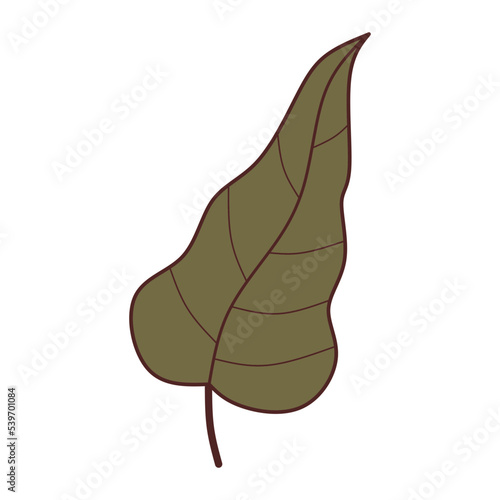 leaf element