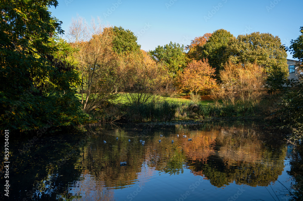 Herbstliche Impressionen im Kieler Werftpark im Sonnenlicht