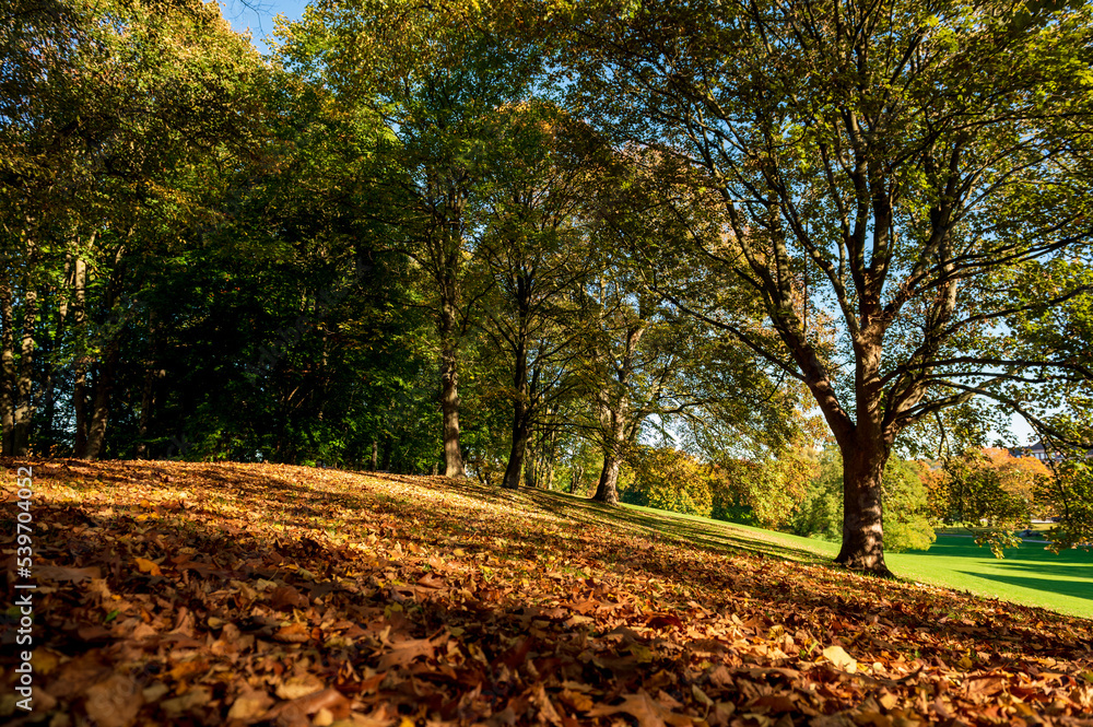 Naklejka premium Herbstliche Impressionen im Kieler Werftpark im Sonnenlicht
